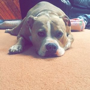 Meet your Posher, Juliet